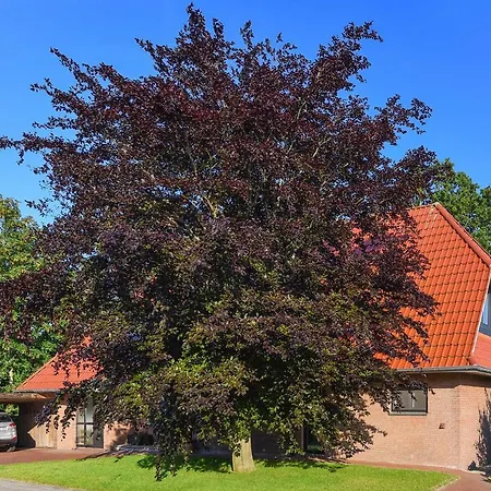Ferienwohnung Sonnenblume Appartement Esens