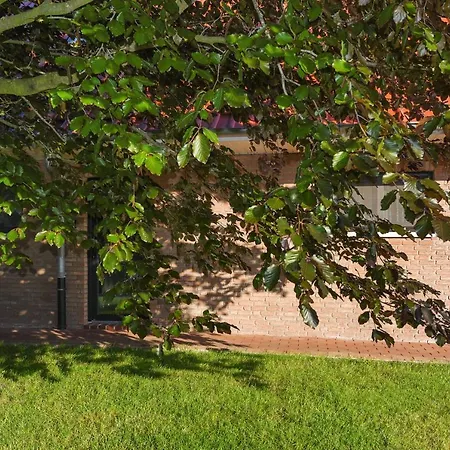 Appartement Ferienwohnung Sonnenblume *